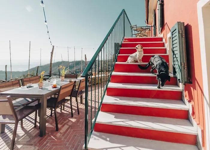 La Volpe Bed & Breakfast